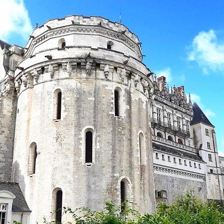 En Plein Coeur : Charmant Gite Centre Amboise Eksteriør billede