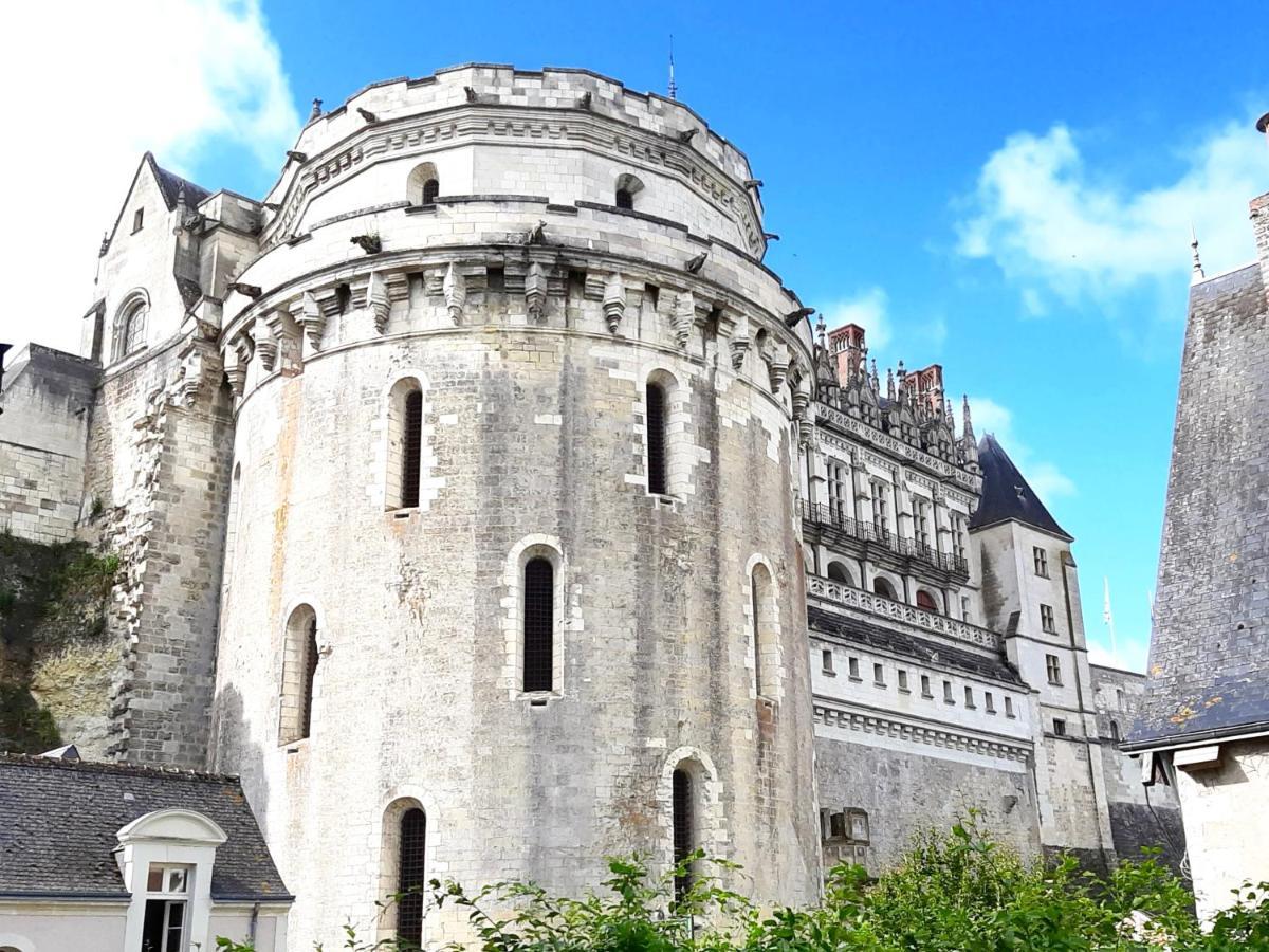 En Plein Coeur : Charmant Gite Centre Amboise Eksteriør billede